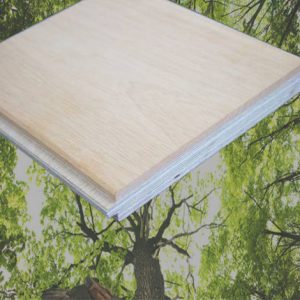 एरो वुड क्यों चुनें?